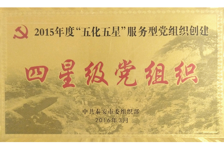 四星级党组织